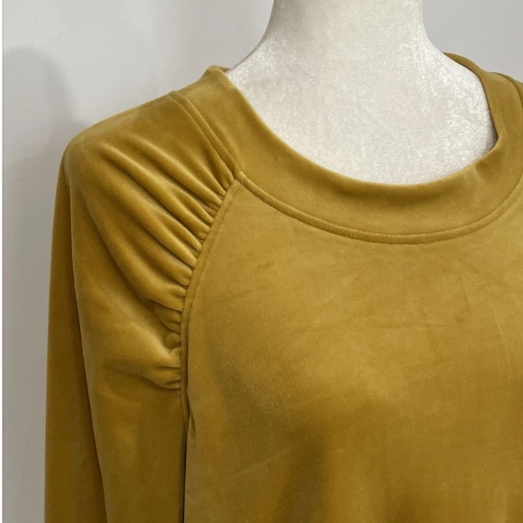 Nwt Sunday Saturday anthropologie velour top m - Picture 6 of 8